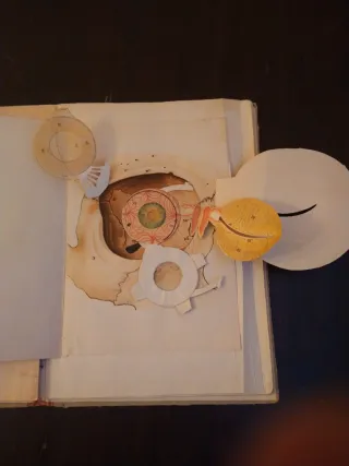 Antiguo Atlas Anatómico Gustavo Gili Troquelado