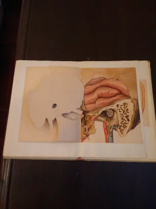 Antiguo Atlas Anatómico Gustavo Gili Troquelado