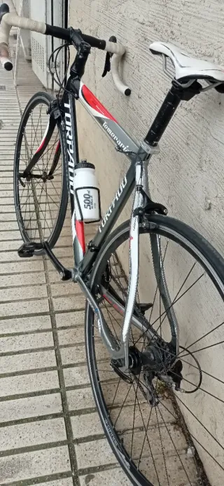 Bicicleta Carretera Torpado Temeraria Talla M