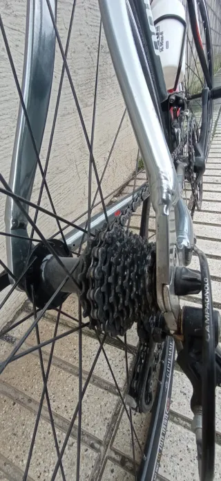 Bicicleta Carretera Torpado Temeraria Talla M