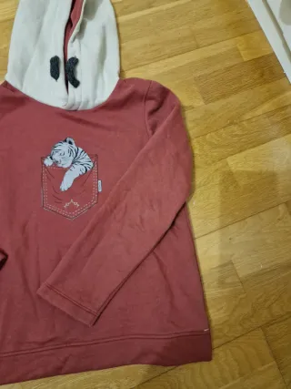 Sudadera Nanos Talla 12