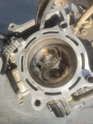 Motor Polaris Predator 500