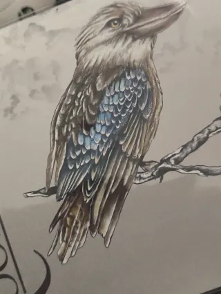 Moneda Plata Kookaburra World Money Fair 25