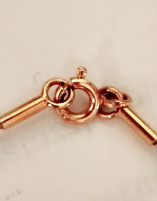 Colgante Oso Tous Oro 750