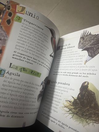 Lee cada día 365 historias de animales