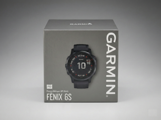 Garmin Fenix 6S Pro