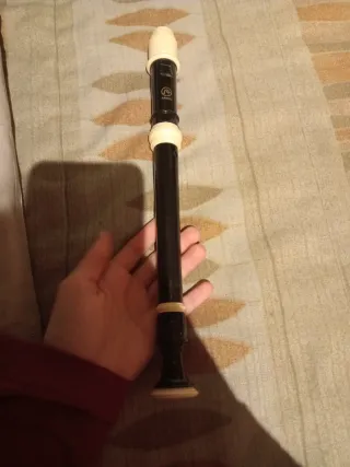 Flautas dulces a 5,99€ cada una. SOLO EN PERSONA!