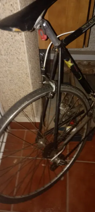 Orbea Clásica Bicicleta