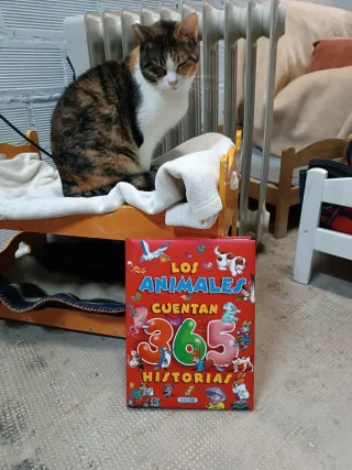 Libro los Animales Cuentan 365 Historias