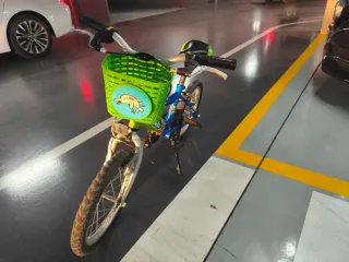 Bicicleta per bambini verde e blu da 14 pollici