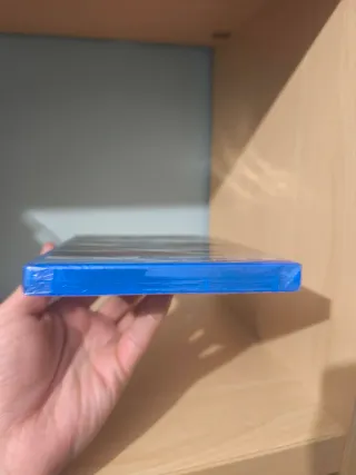 Paranormal Activity The Lost Soul VR PS4