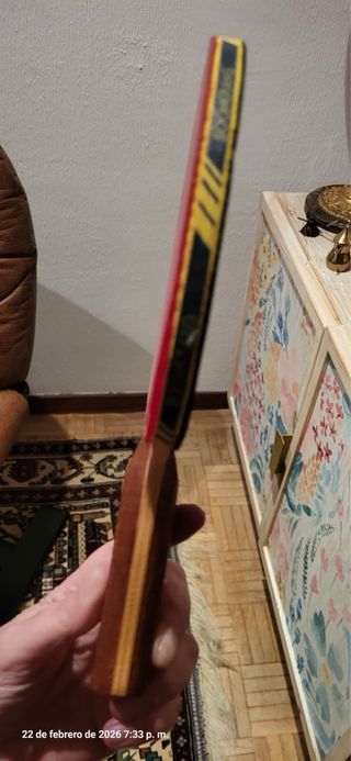 Pala de ping pong negra y roja