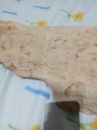 Gran Tronco Madera Natural 74x38 cm Cueva Refugio