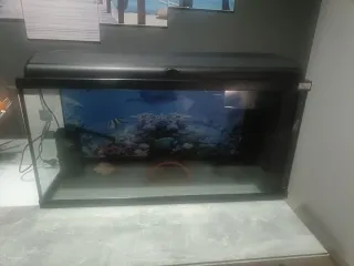 Pecera negra con fondo marino