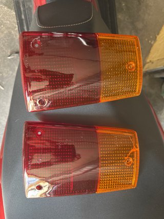 Tulipas renault 6