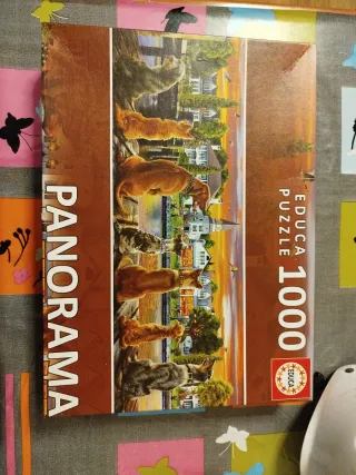 Puzzle Educa Panorama 1000 Piezas
