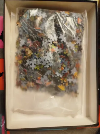 Puzzle Educa Panorama 1000 Piezas