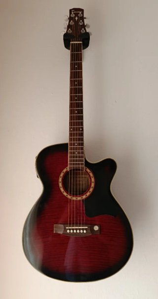 Guitarra Acústica Eléctrica Tenson