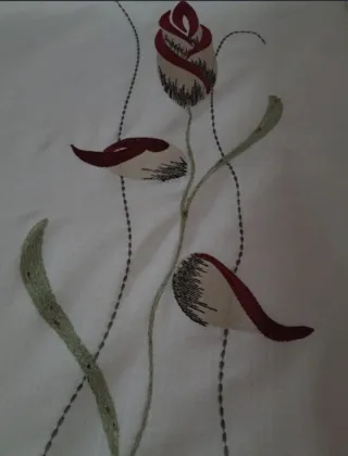 Lote visillos y cinta