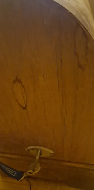 Máquina coser Refrey Transforma