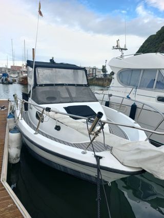 Bayliner Trophy con Yamaha 150cv