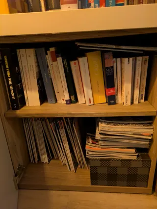 Mueble TV y Vitrina Ikea Besta