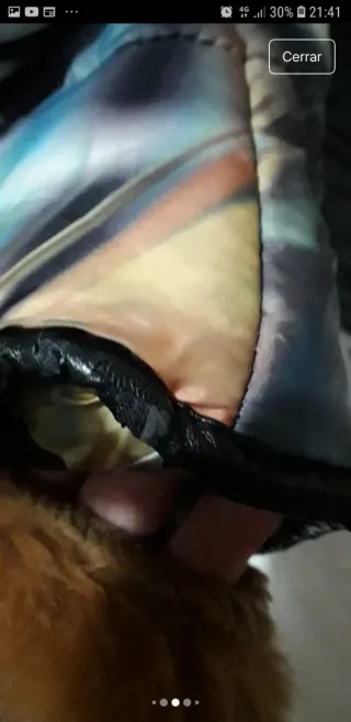 Plumas negra y multicolor