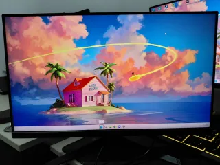 Monitor Gaming 165hz Asus VG247Q1A
