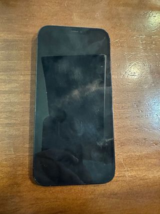 iPhone 12 Pro Max Blu