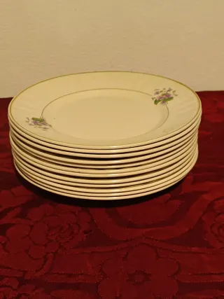 Conjunto de 12 antigos pratos rasos com flores