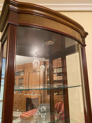 Vitrina de lujo cristal curvo e iluminación