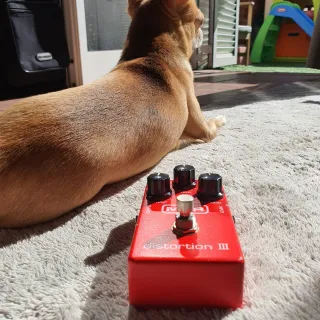 ***MXR Distortion III Pedal OCASIÓN!!!
