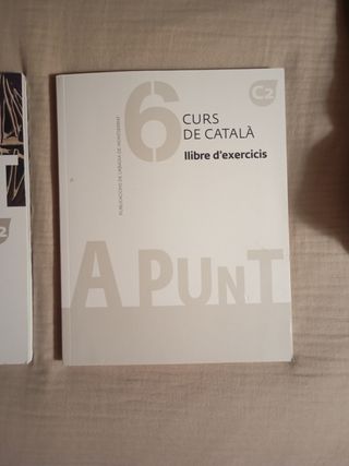 A punt. Curs de català. 2 llibres Teoría+pràctica