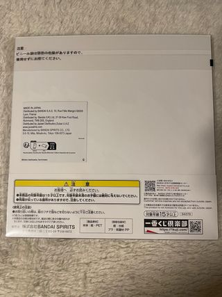 Lámina One Piece Roronoa Zoro vs Ryuma