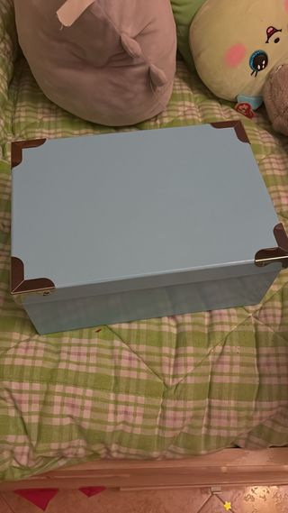 Caja organizadora azul