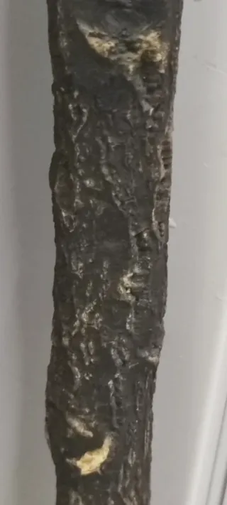 Bastón antiguo con mango curvo