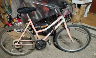 Bicicleta California Mujer Rosa