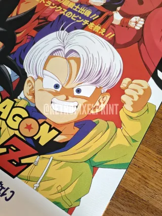 Dragon Ball película 13 Lona 50x70cm