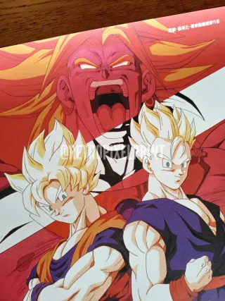 Dragon Ball película 13 Lona 50x70cm