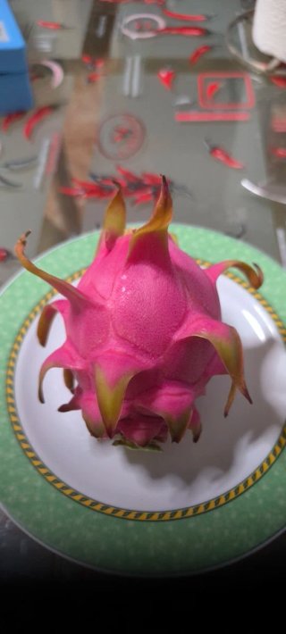Esquejes de Pitahaya