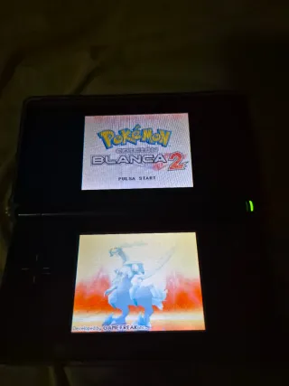 Nintendo DS Lite Negra + M3 DS Real + MicroSD