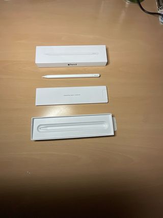 Apple Pencil USB-C Nuevo