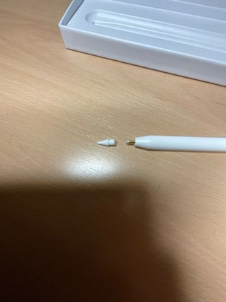 Apple Pencil USB-C Nuevo