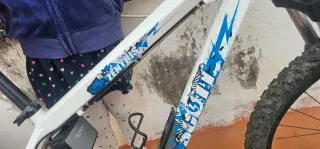 Bicicleta de montaña blanca