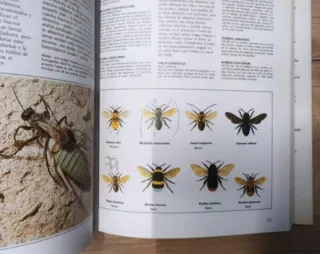 Libro Fascinante Naturaleza.