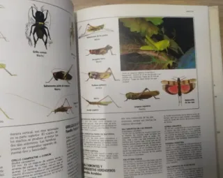 Libro Fascinante Naturaleza.