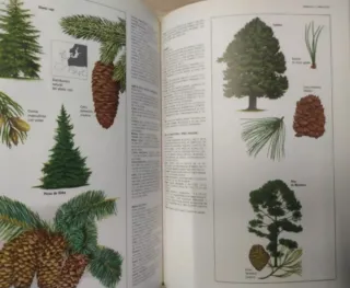 Libro Fascinante Naturaleza.