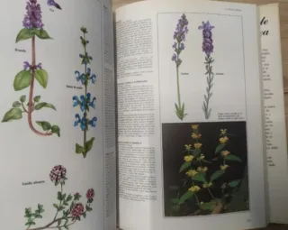 Libro Fascinante Naturaleza.