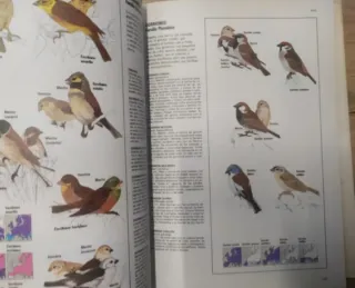 Libro Fascinante Naturaleza.