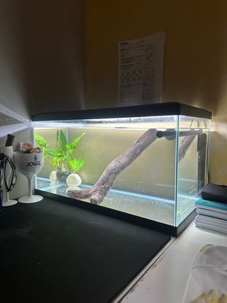 Acuario 240L